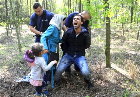 Hungarian policemen detain a Syrian refugee family after they entered Hungary at the border with Serbia, near Röszke. Photograph: Bernadett Szabo/Reuters.