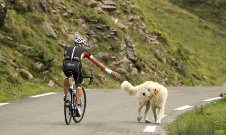 Haute Route Pyrenees Rider with dog