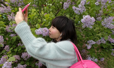 The Arnold Arboretum of Harvard University