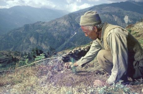 FAO foresters Nepal