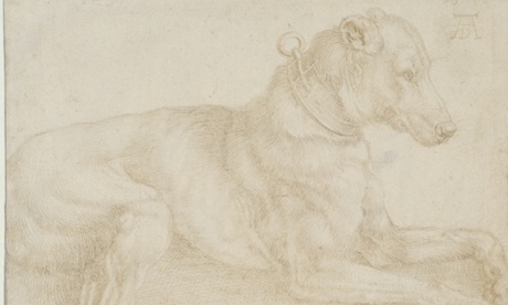 Albrecht Dürer's Dog resting, c. 1520, silverpoint over charcoal