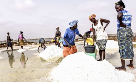 Senegalese wormen harvesting salt.
