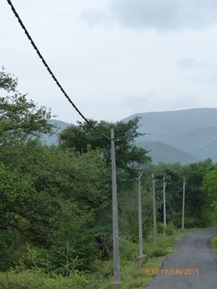 Insulated electric cable strung along Cauvery Wildlife Sanctuary, Karnataka.