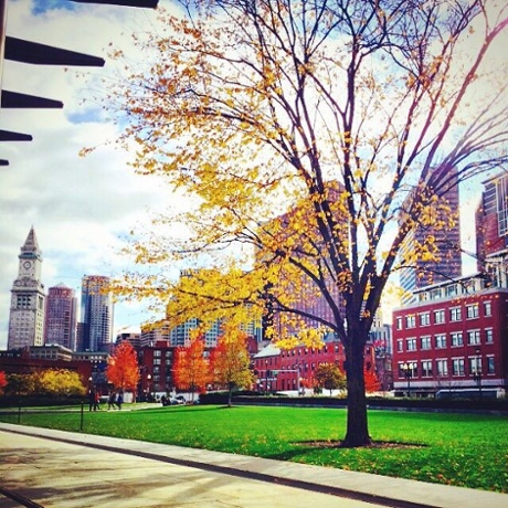 Boston fall