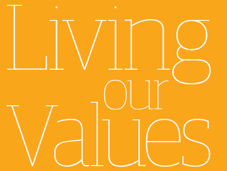 Living our Values: 2015 performance