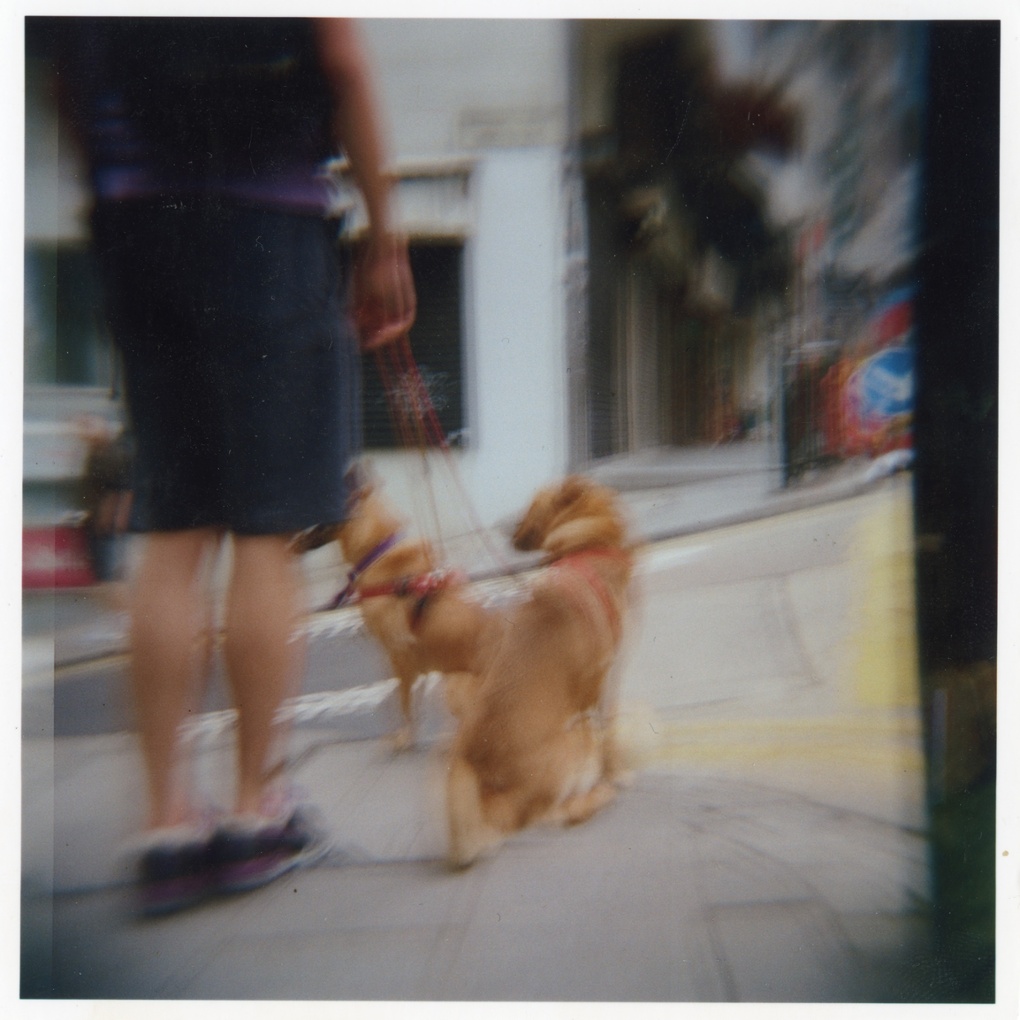 Best friends by Arumy