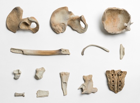 Ai Weiwei’s Remains: the bones of those who died in Communist labour camps reproduced in porcelain