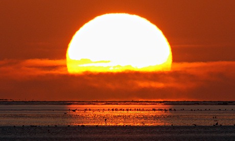 Sunrise, over the North Sea, with migrating waders, Lindisfarne, Northumberland, England, UK