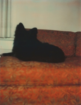 Erik Kessels's All Yours, from in almost every picture #9, 2011