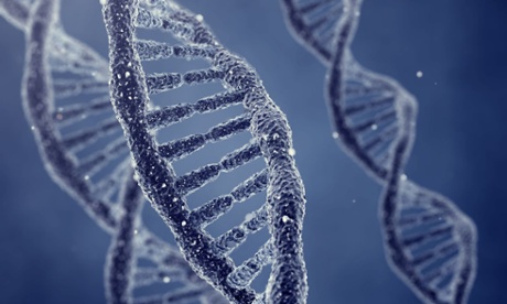 Genealogy masterclass.