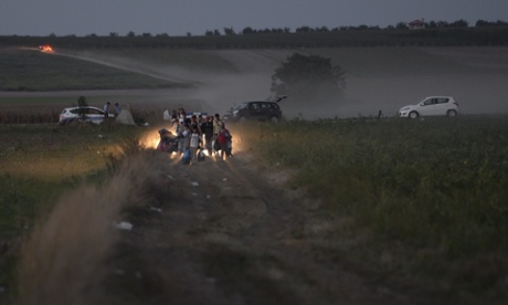 Migrants walk through cornfields to a border crossing point between Serbia and Croatia
