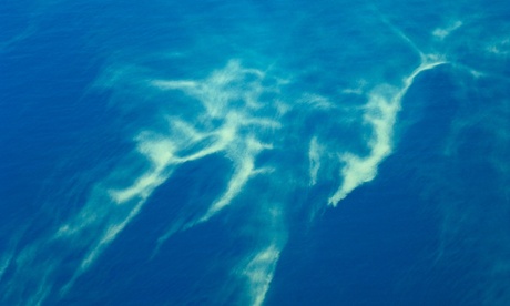 Cyanobacteria, Trichodesmium, bloom off Queensland, Australia