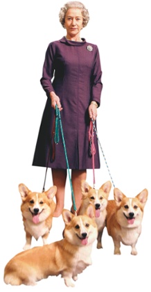 Helen Mirren in The Queen