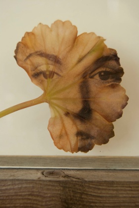 Breathe, by Alice Cazenave.