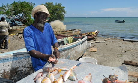 A fisherman cleans his catch