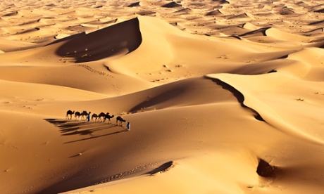 Morocco, Erg Chigaga sand dunes, camel caravan