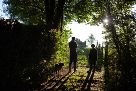 Autumn at Fern Verrow is the time to plant cut-and-come again crops.