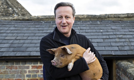 David Cameron holds Florence the piglet during a visit to Coggs Farm in Witney last year.