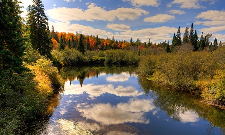 Oxtonge River, Algonquin provincial park, Ontario, Canada.