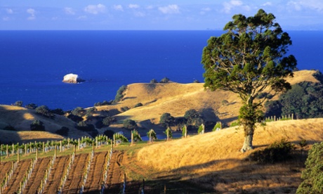 Stony Batter Vineyard, Waiheke Island, Auckland New Zealand