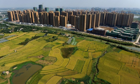 We can only save nature by using it – Responding to Ecomodernism
