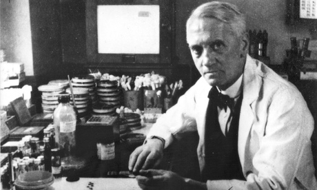 Sir Alexander Fleming pictured at work in his laboratory.