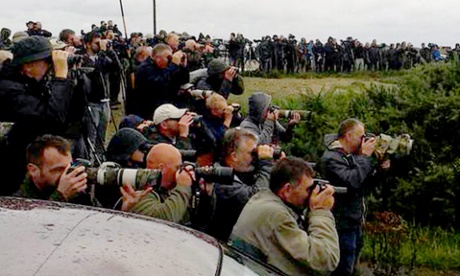 Twitchers from all over the country descend on Kent hoping to spot the flycatcher.