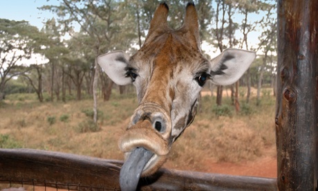 'Give us a kiss!', by Stephen Biddlecombe