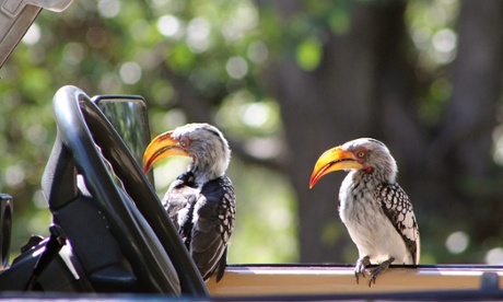 Comedy Wildlife Photography Awards