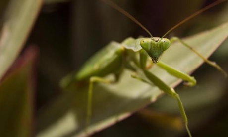 'Husband, what husband!' for the Comedy Wildlife Photography Awards