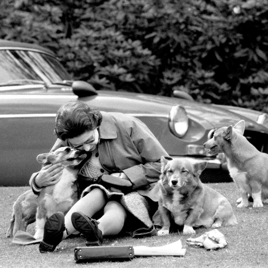 Queen Elizabeth II sitting with her corgis in 1973
