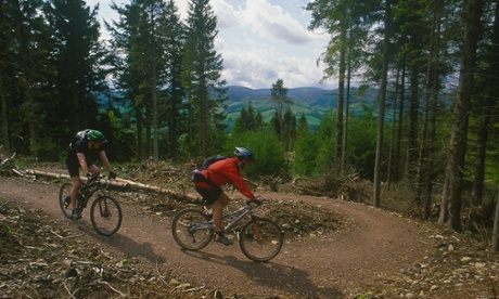 Mountain biking at the Tweed Valley forest park, Glentress, Scotland