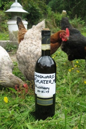 Boyle's blackberry wine