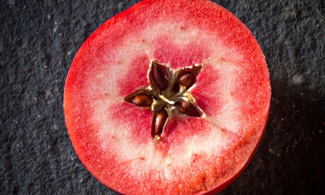 Apple - 'Redlove' variety.