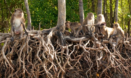 Koh Lanta marine national park.