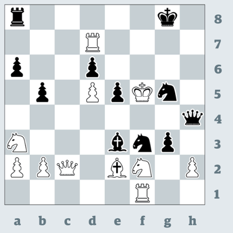 Chess 3406