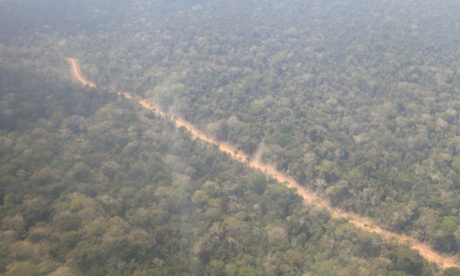 Peru illegal logging
