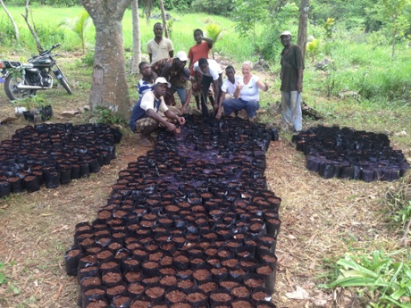 Planting trees Jamaica One Love walk