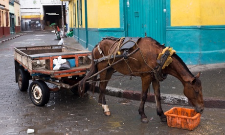 El Calvario’s rag-and-bone men often use horse-drawn carts.
