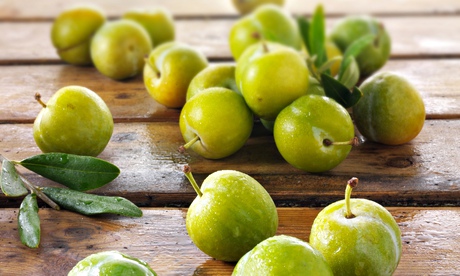 Fresh Greengage plums