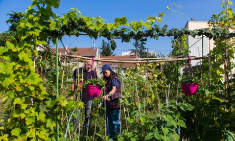 Agrocité started in 2008: ‘It’d be such a shame to destroy all this for a boring car park.’