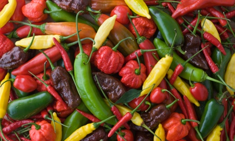 That burning sensation – a selection of chillis.