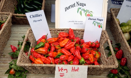 Sizzling … the Dorset Naga, which was once the world's hottest.
