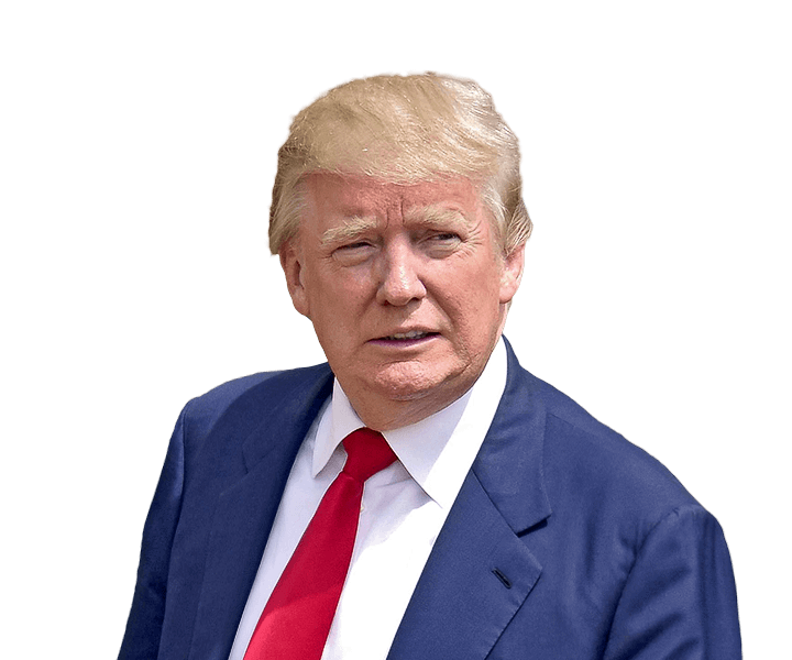Transparent Blonde Trump Hair PNG Images - wide 4