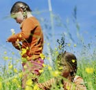 Children play in the grass in a field of buttercups
