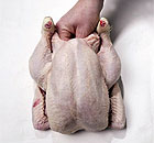 Stuffing a chicken