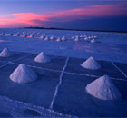 Collecting salt on the Salar de Uyuni in Bolivia.