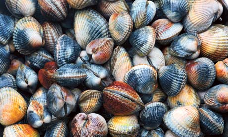 Cockles