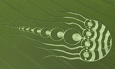 crop circles 2009 google circle jellyfish guardian mystery