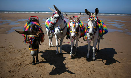 Blackpool Beach Donkey